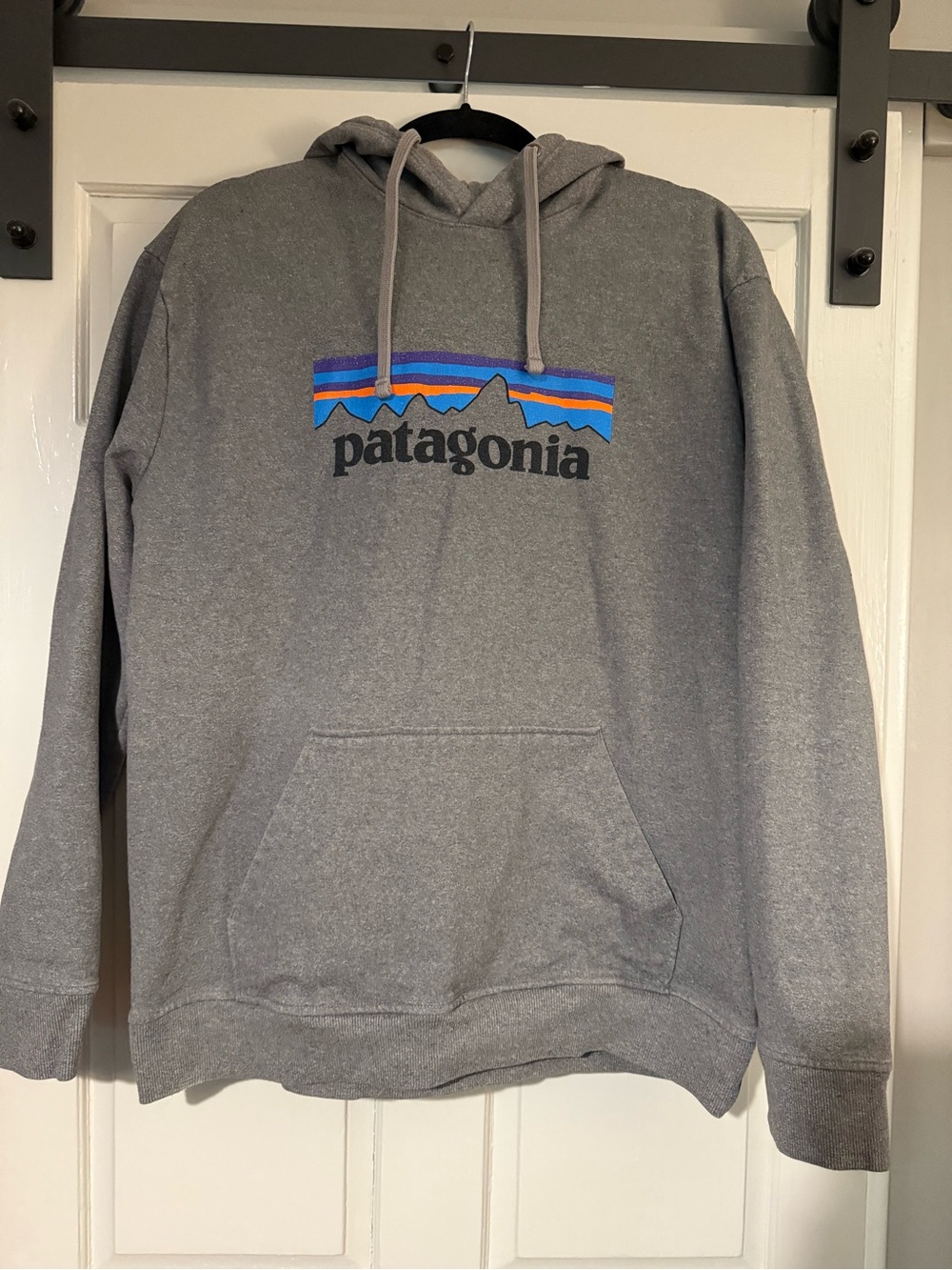 Patagonia Gray Hoodie with Multicolor Mountain Logo